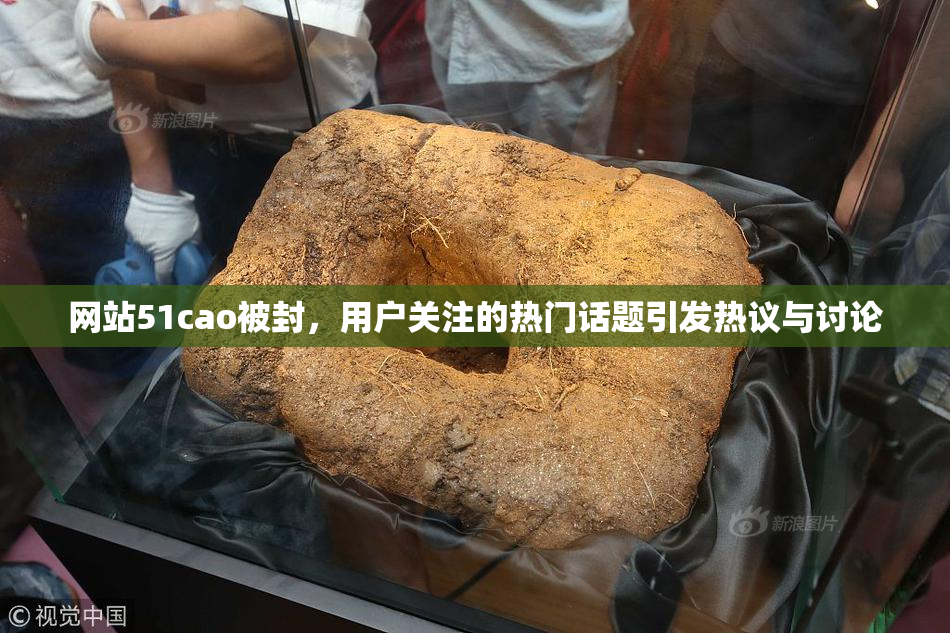 网站51cao被封，用户关注的热门话题引发热议与讨论