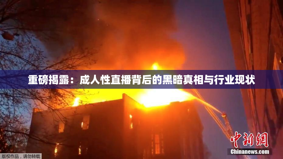 重磅揭露：成人性直播背后的黑暗真相与行业现状