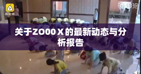 关于ZO00Ⅹ的最新动态与分析报告