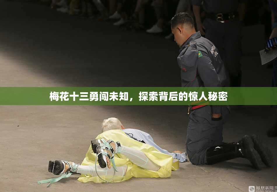 梅花十三勇闯未知，探索背后的惊人秘密