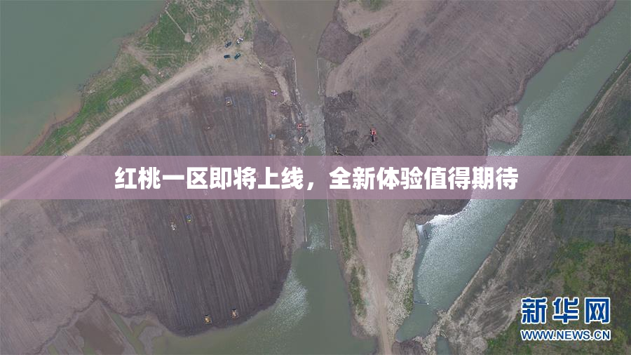 红桃一区即将上线，全新体验值得期待