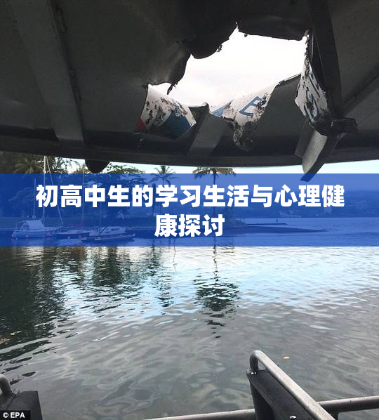 初高中生的学习生活与心理健康探讨