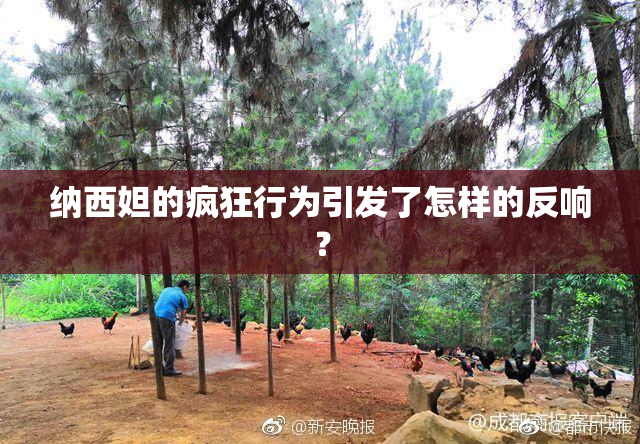 纳西妲的疯狂行为引发了怎样的反响？