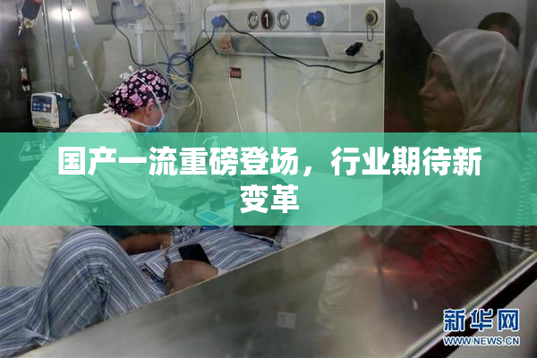 国产一流重磅登场，行业期待新变革