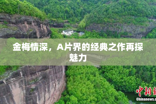金梅情深，A片界的经典之作再探魅力