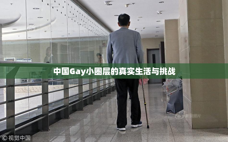 中国Gay小圈层的真实生活与挑战