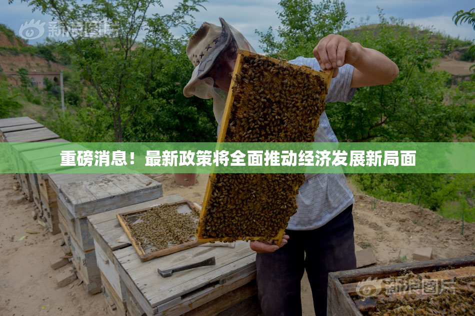 重磅消息！最新政策将全面推动经济发展新局面