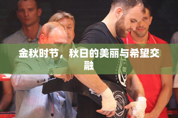 金秋时节，秋日的美丽与希望交融