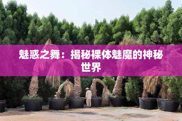 魅惑之舞：揭秘裸体魅魔的神秘世界