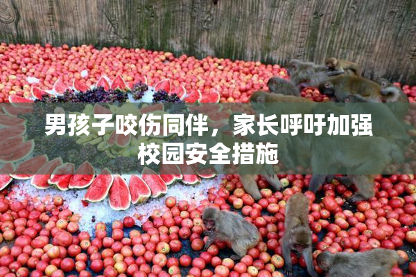 男孩子咬伤同伴，家长呼吁加强校园安全措施
