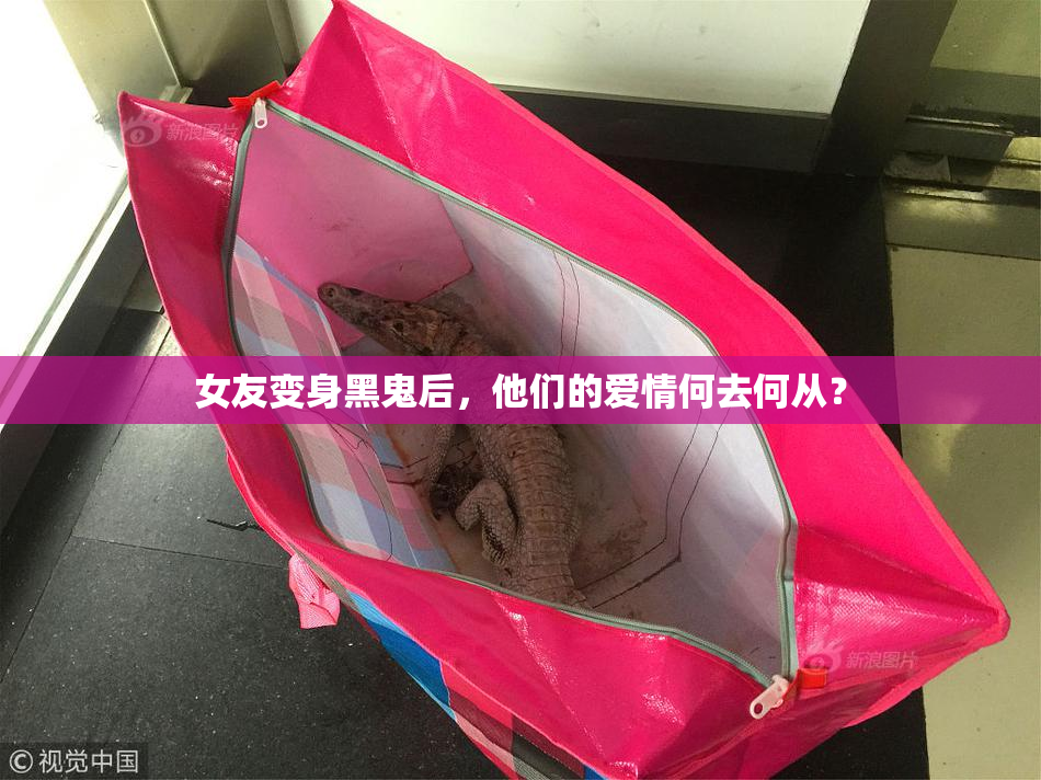 女友变身黑鬼后，他们的爱情何去何从？