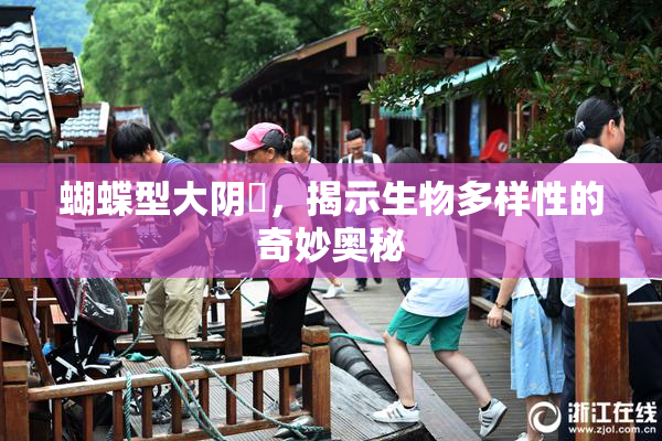 蝴蝶型大阴脣，揭示生物多样性的奇妙奥秘