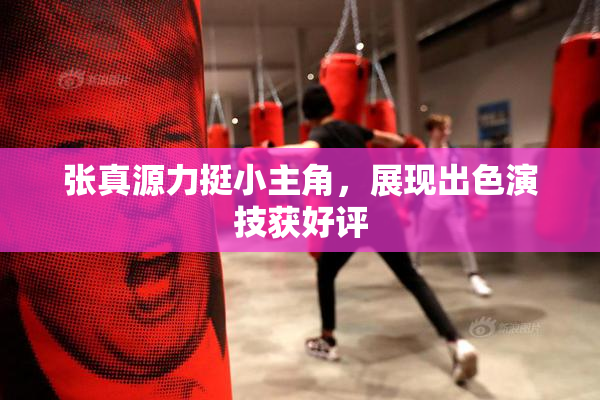 张真源力挺小主角，展现出色演技获好评