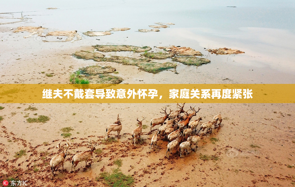 继夫不戴套导致意外怀孕，家庭关系再度紧张