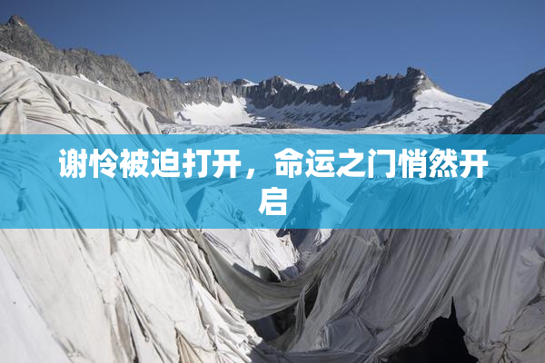谢怜被迫打开，命运之门悄然开启