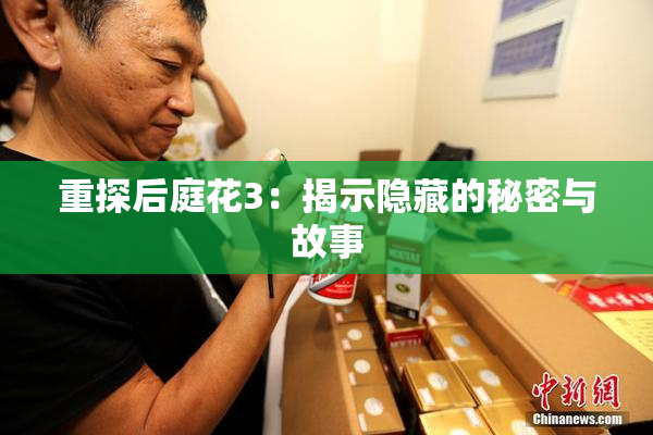 重探后庭花3：揭示隐藏的秘密与故事
