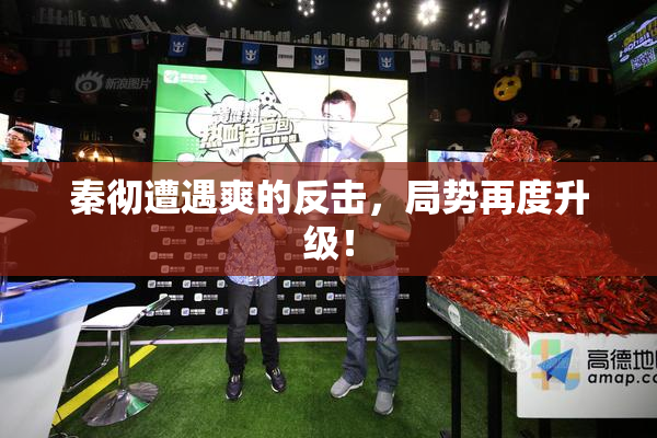 秦彻遭遇爽的反击，局势再度升级！