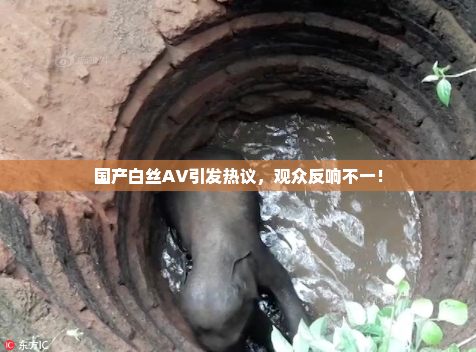 国产白丝AV引发热议，观众反响不一！