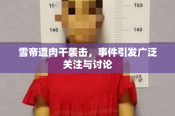 雪帝遭肉干袭击，事件引发广泛关注与讨论