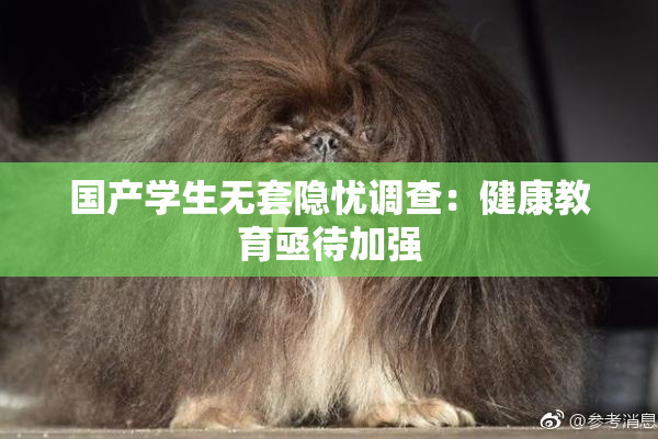 国产学生无套隐忧调查：健康教育亟待加强