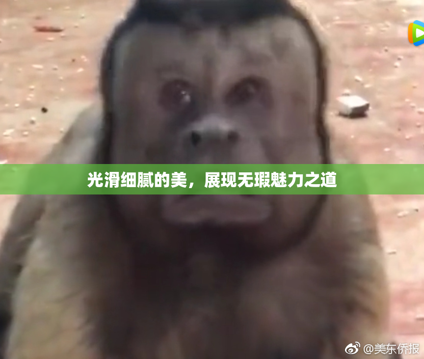 光滑细腻的美，展现无瑕魅力之道