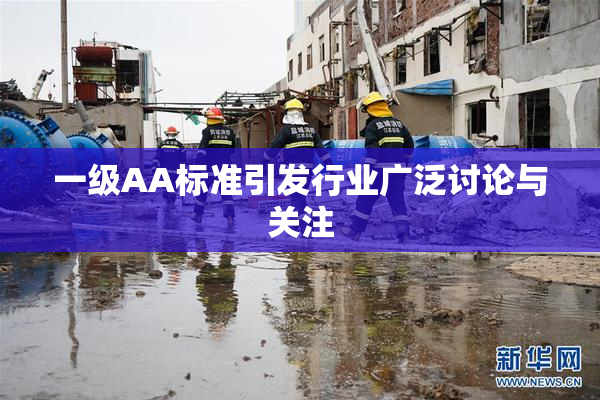 一级AA标准引发行业广泛讨论与关注