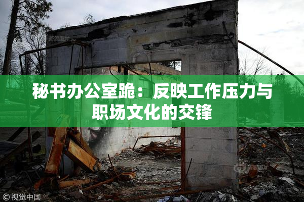 秘书办公室跪：反映工作压力与职场文化的交锋