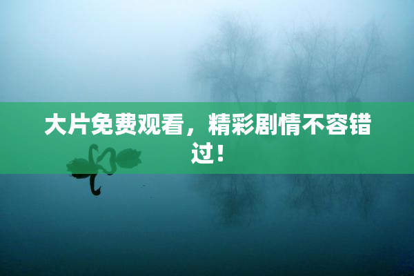 大片免费观看，精彩剧情不容错过！