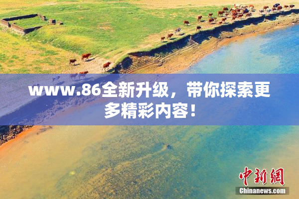 www.86全新升级，带你探索更多精彩内容！