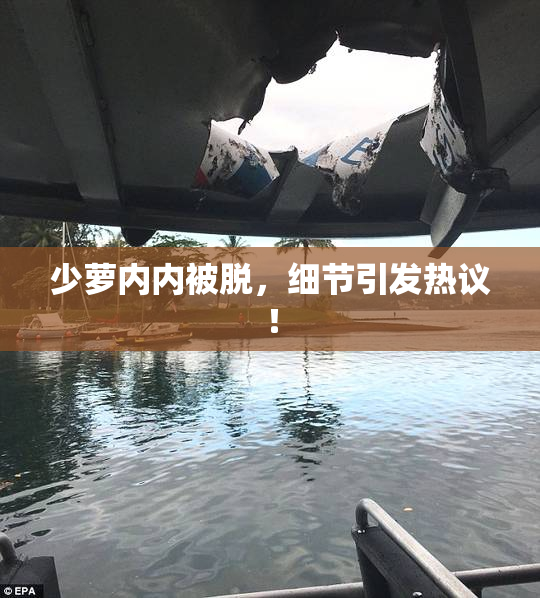 少萝内内被脱，细节引发热议！