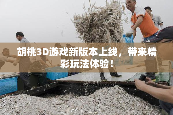 胡桃3D游戏新版本上线，带来精彩玩法体验！