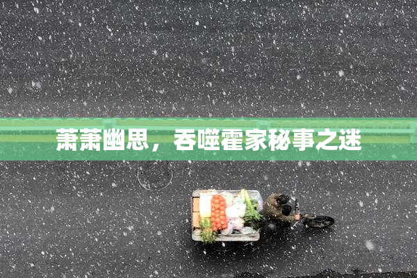 萧萧幽思，吞噬霍家秘事之迷