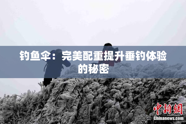 钓鱼伞：完美配重提升垂钓体验的秘密