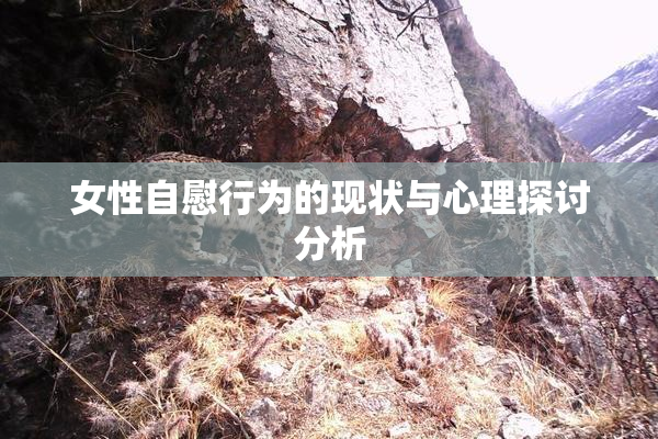 女性自慰行为的现状与心理探讨分析