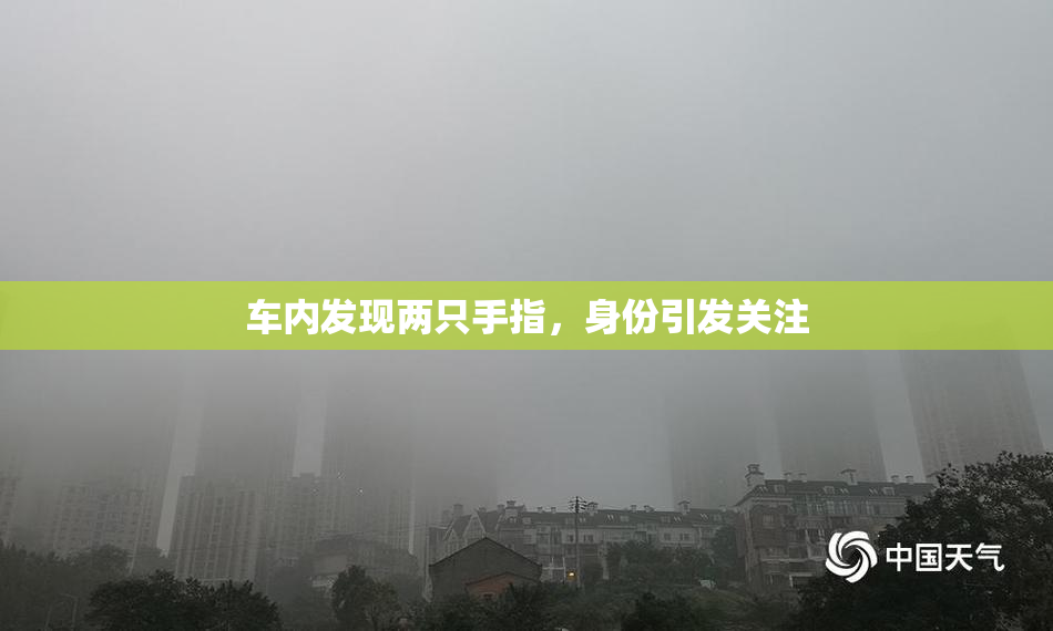 车内发现两只手指，身份引发关注