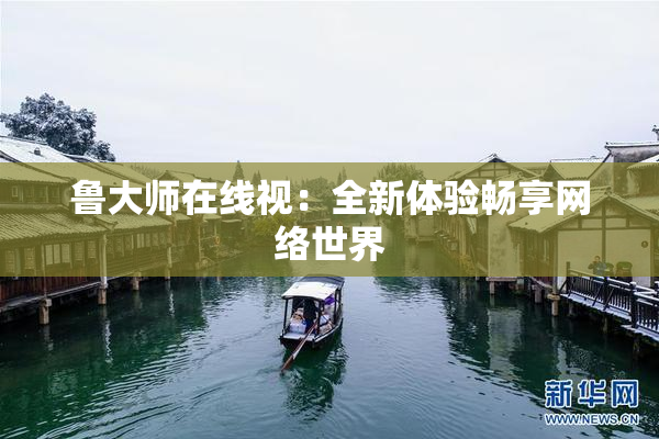 鲁大师在线视：全新体验畅享网络世界