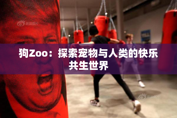 狗Zoo：探索宠物与人类的快乐共生世界