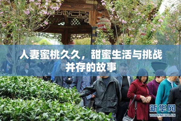 人妻蜜桃久久，甜蜜生活与挑战并存的故事