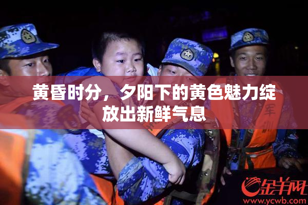黄昏时分，夕阳下的黄色魅力绽放出新鲜气息