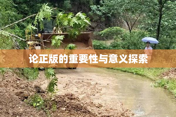 论正版的重要性与意义探索
