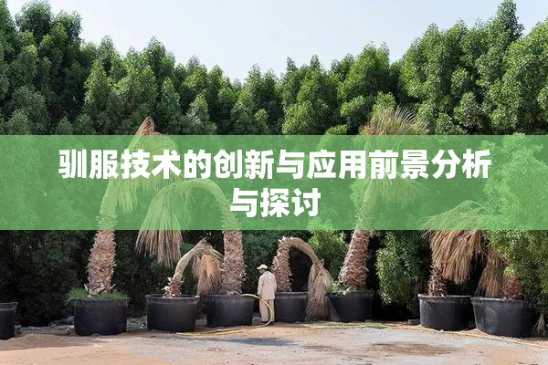 驯服技术的创新与应用前景分析与探讨