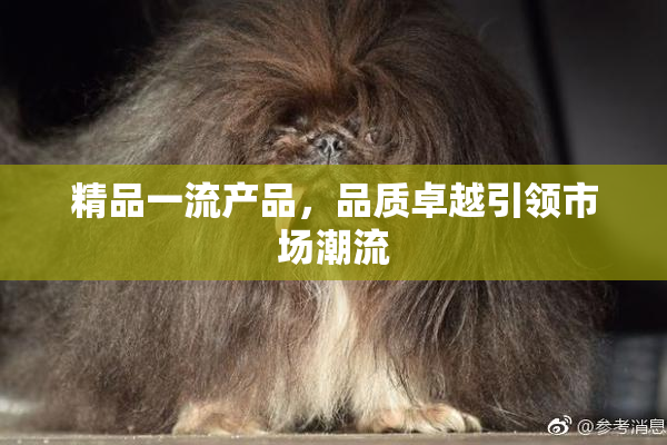 精品一流产品，品质卓越引领市场潮流