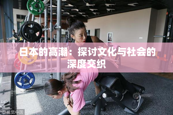 日本的高潮：探讨文化与社会的深度交织