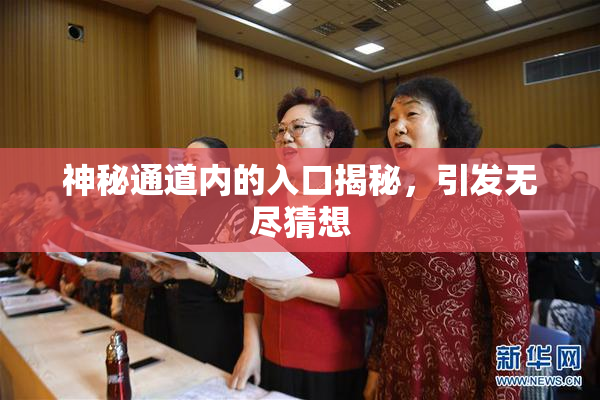 神秘通道内的入口揭秘，引发无尽猜想