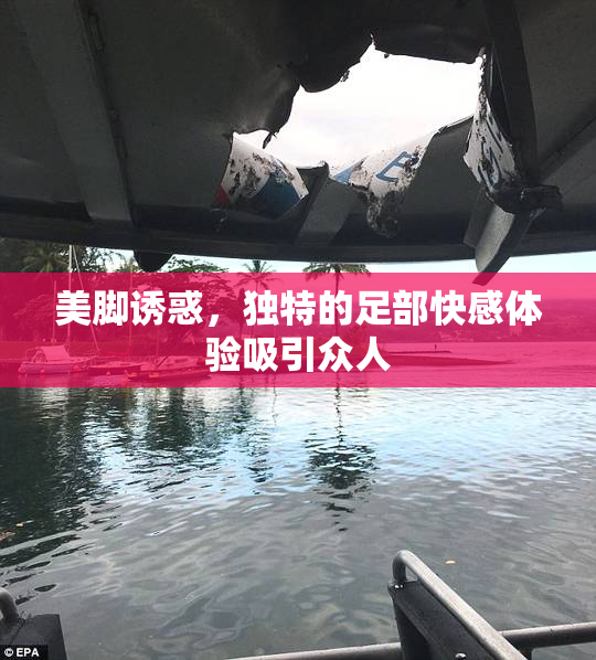 美脚诱惑，独特的足部快感体验吸引众人