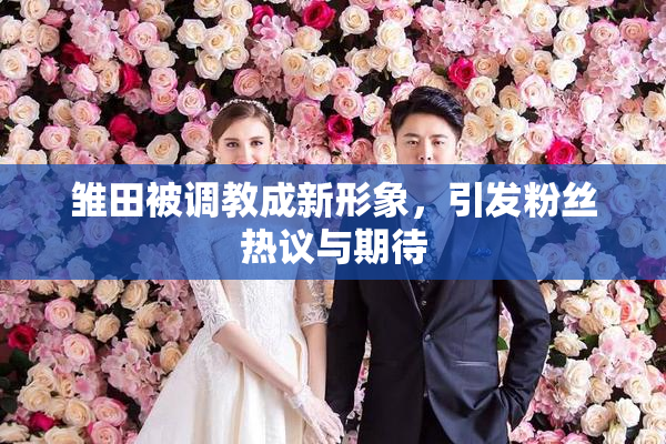 雏田被调教成新形象，引发粉丝热议与期待