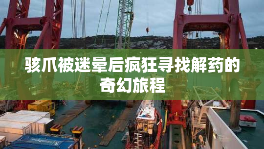骇爪被迷晕后疯狂寻找解药的奇幻旅程