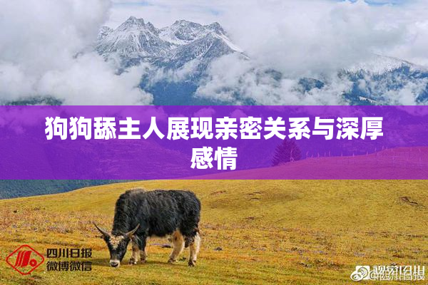 狗狗舔主人展现亲密关系与深厚感情
