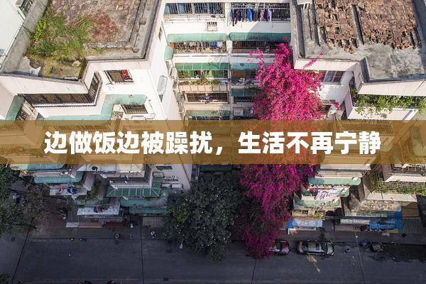 边做饭边被躁扰，生活不再宁静