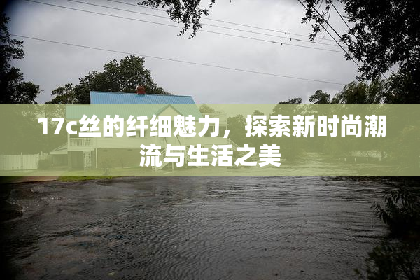 17c丝的纤细魅力，探索新时尚潮流与生活之美